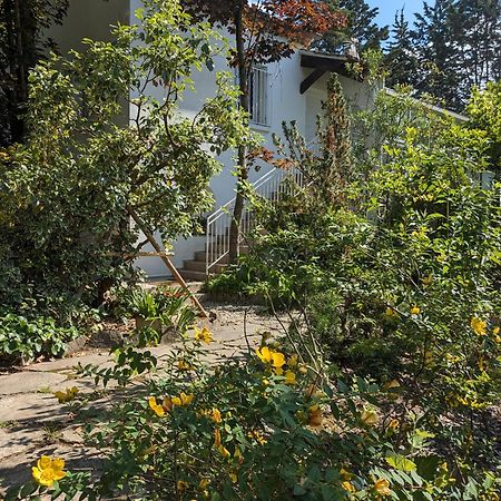 Maison Spacieuse Et Lumineuse 4 Personnes Lavilledieu  ภายนอก รูปภาพ
