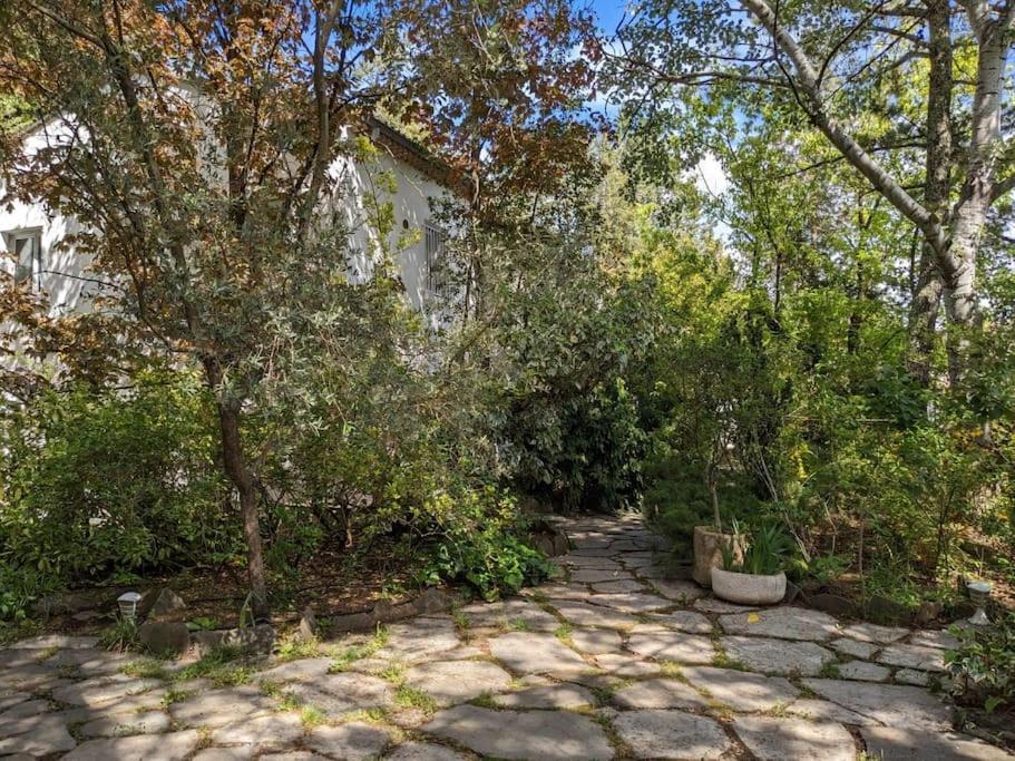 Maison Spacieuse Et Lumineuse 4 Personnes Lavilledieu  ภายนอก รูปภาพ