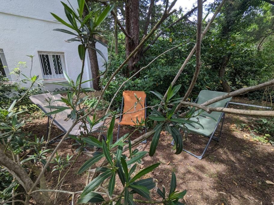 Maison Spacieuse Et Lumineuse 4 Personnes Lavilledieu  ภายนอก รูปภาพ